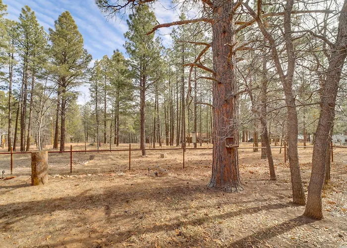 Great For Families! Woodsy Haven In * Happy Jack